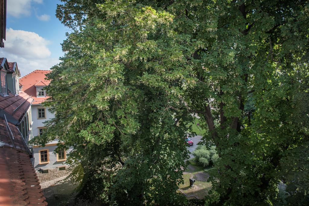 "Goethezimmer" Ferienwohnung Und Zimmer Am Burgplatz Weimar  Exterior foto